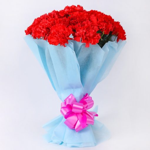 15 Red Carnations Bouquet