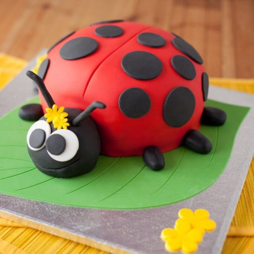 Ladybird Bug Fondant Cake