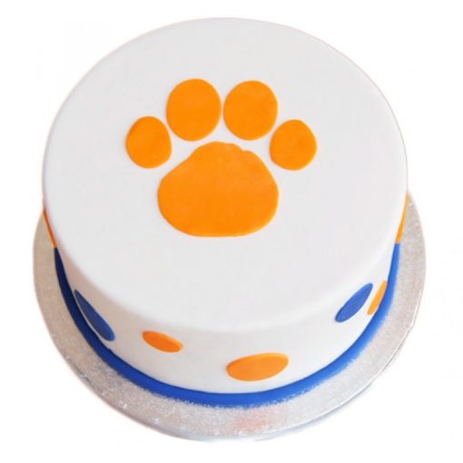 Clemson Theme Fondant Cake