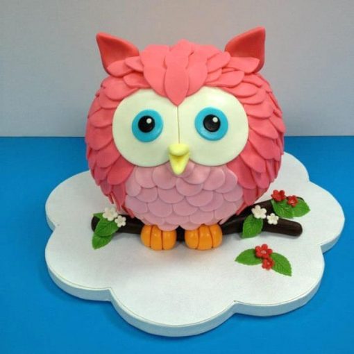 Customized Pink Owl Fondant Cake