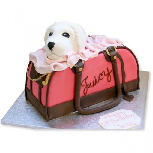 Juicy Dog Bag Fondant Cake