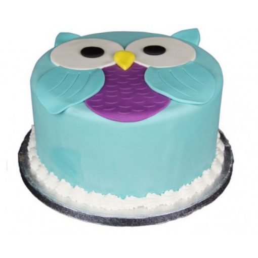 Owl Fondant Cake